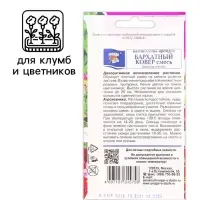 Семена цветов Камнеломка "Бархатный ковер", 0,01 г
