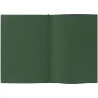 Ежедневник Flat Maxi, недатированный, зеленый