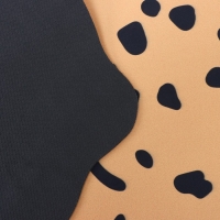 Коврик для дома Доляна &laquo;Тигр&raquo;, влаговпитывающий, 60&times;39 см