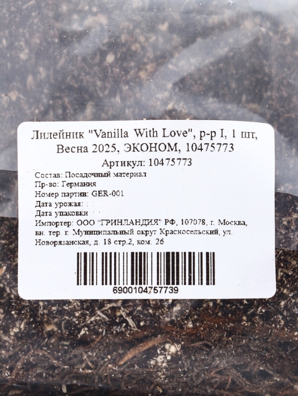 Лилейник "Vanilla With Love", р-р I, 1 шт, Весна 2025, ЭКОНОМ,