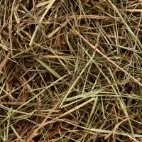 Сено луговое &laquo;Зверьё Моё&raquo;, отборное, ароматное, зеленое, без пыли, крапива, 500 г