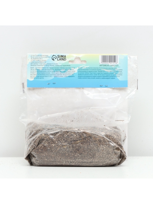 Лилия Восточная Primrose Hill, луковица в пакете с перфорацией, р-р 12/14, 2 шт.