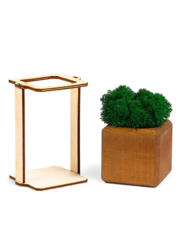 Кашпо композиция со мхом "Бриовуд", мох стабилизированный: Forest green (Зелёный лес)