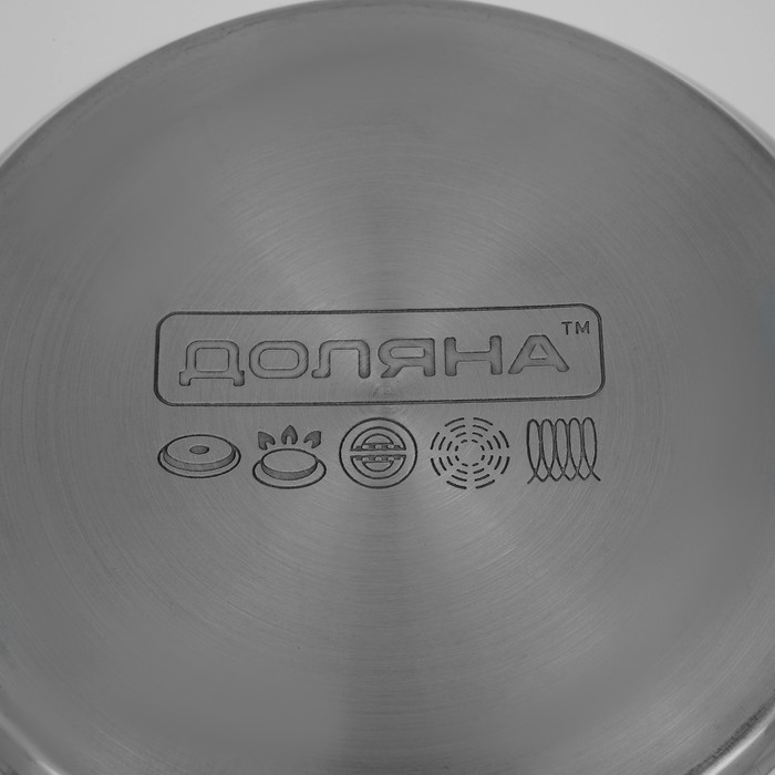 Кастрюля из нержавеющей стали Доляна &laquo;Вернер&raquo;, 3,5 л, d=20 см, с крышкой, индукция