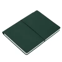 Ежедневник Flexpen Bright, недатированный, зеленый