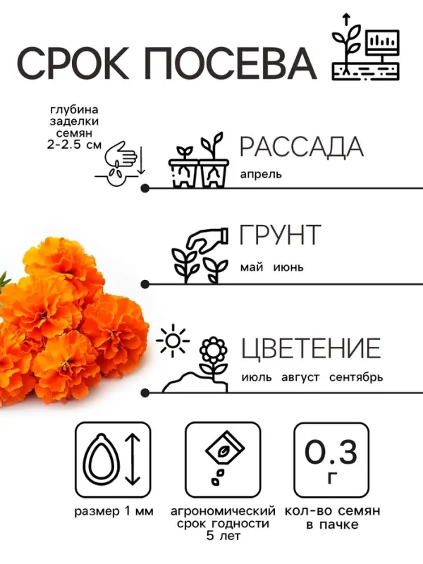 Семена цветов Бархатцы отклонённые "Мандарин", махровые, 0,3 г