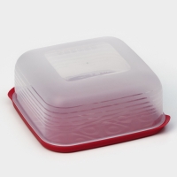 Контейнер пластиковый с крышкой Flexo, 2,7 л, цвет прозрачный, крышка красная