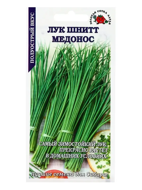 Семена Лук Шнитт Медонос /Сотка/ 0,3г/ до 40см/*1200