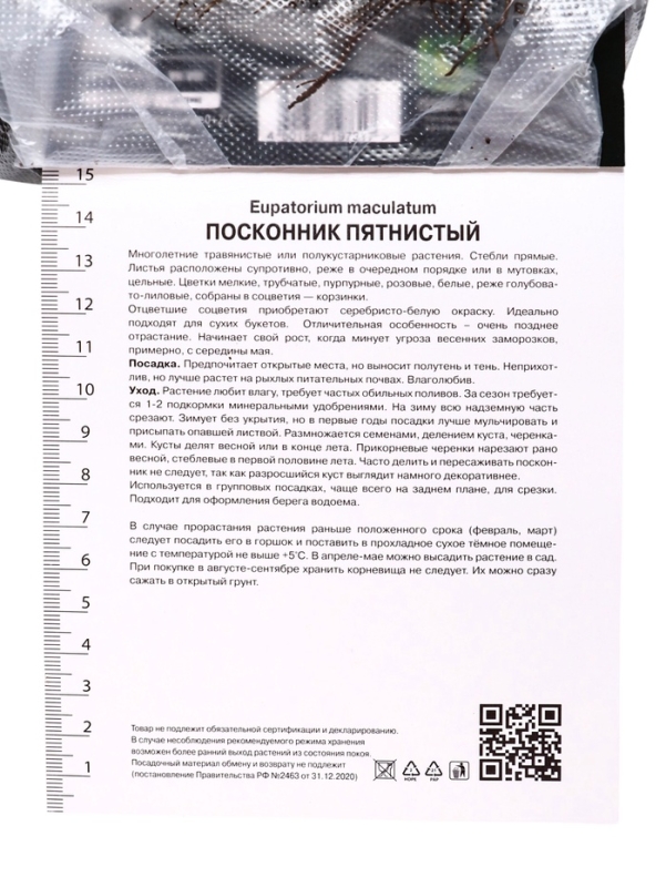 Посконник Посконник "пятнистый Беби Джо", 1 шт, р-р I, Весна 2025