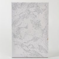 Картина по номерам с подрамником и поталью &laquo;Золотые рыбки&raquo;, 20 х 30 см