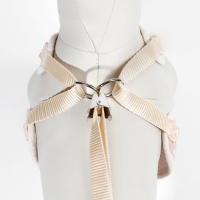 Комплект с мягкой шлейкой "Горох", размер М, поводок 120 х 1,5 см, ОГ 34-66 см, розовый Комплект с мягкой шлейкой "Горох", размер М, поводок 120 х 1,5 см, ОГ 34-66 см, розовый