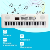 Синтезатор детский &laquo;Клавишник&raquo;, звуковые эффекты, 61 клавиша