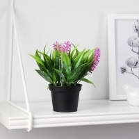 Бонсай в горшке "Аллиум люкс" 7х12 см, микс Бонсай в горшке "Аллиум люкс" 7х12 см, микс