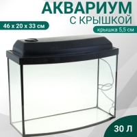 Аквариум "Телевизор" с крышкой, 30 литров, 46 х 20 х 33/38 см, чёрный Аквариум "Телевизор" с крышкой, 30 литров, 46 х 20 х 33/38 см, чёрный