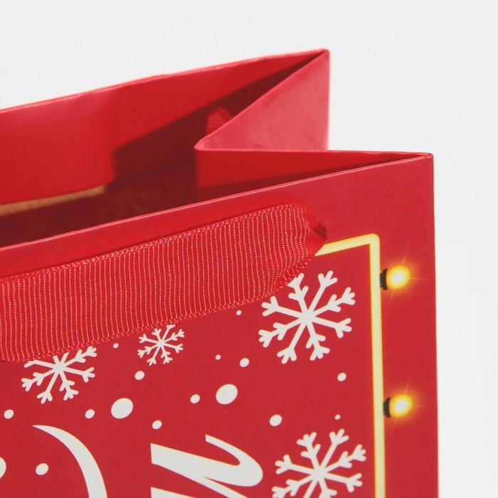 Пакет под бутылку &laquo;С Новым годом!&raquo;, 13 х 36 х 10 см, Новый год