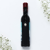 Магнит-открывашка &laquo;Владивосток&raquo;, 2,5 х 11,8 х 2,5 см