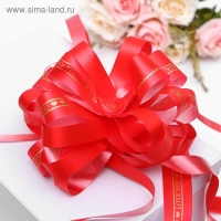 Бант-шар No6, цвет красный Бант-шар No6, цвет красный