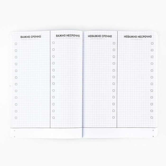 Планинг управление временем А5+, софт-тач, уф-лак 100 л «Красный» Планинг управление временем А5+, софт-тач, уф-лак 100 л «Красный»