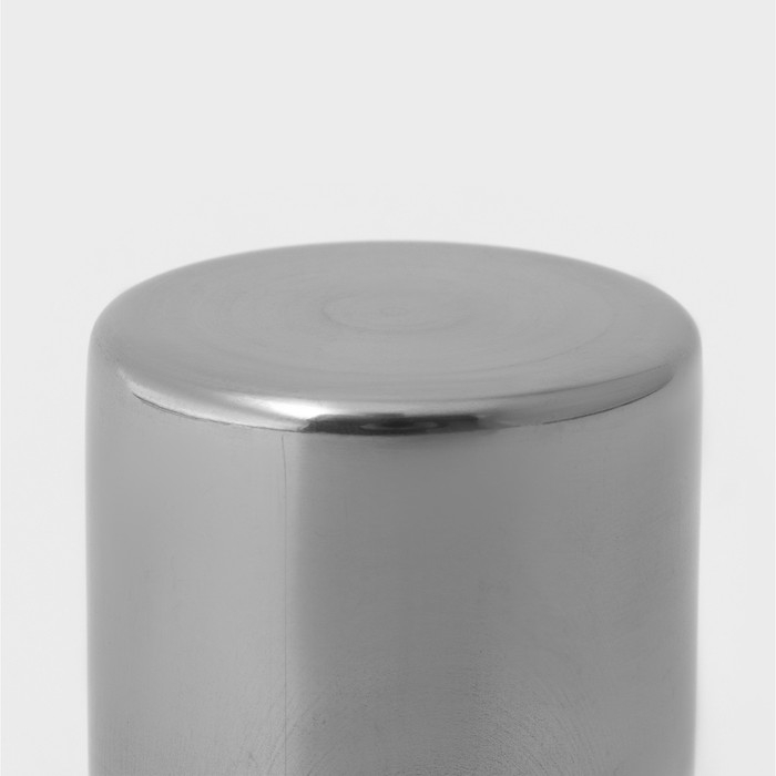 Диспенсер для сахарной пудры Доляна, 100 мл, 6&times;8 см, цвет хромированный