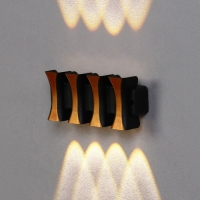 Светильник фасадный &laquo;Элегант&raquo;, FSD-041, 8 Вт, 3000К, 4 луча, IP65, 220 В, пластик, черный