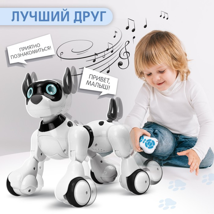 Робот собака Koddy IQ BOT, на пульте управления, интерактивный: звук, свет, танцующий, музыкальный, на аккумуляторе Робот собака Koddy IQ BOT, на пульте управления, интерактивный: звук, свет, танцующий, музыкальный, на аккумуляторе