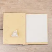 Фотоальбом "Ящерица" 10 листов, 23х27х2 см, цв. коричневый