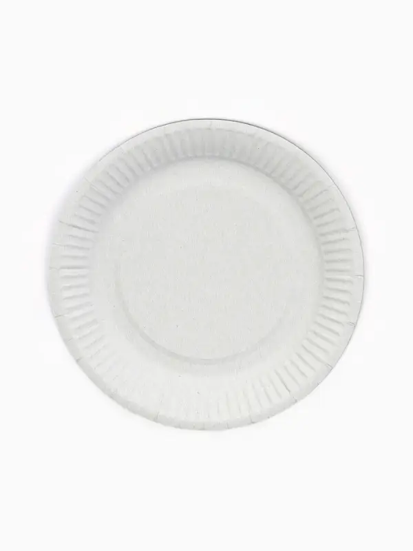 Тарелка одноразовая бумажная &laquo;Лето&raquo;, 23 см