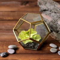 Флорариум каркас 11х10 см, золото Флорариум каркас 11х10 см, золото