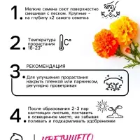 Семена цветов Бархатцы отклонённые "Петит", смесь, 0,3 г
