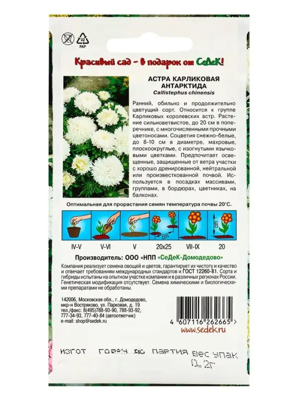 Семена Цветов Астра "Антарктида "0.2 г