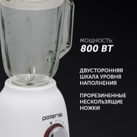 Блендер стационарный для смузи и кофе PTB 0821G