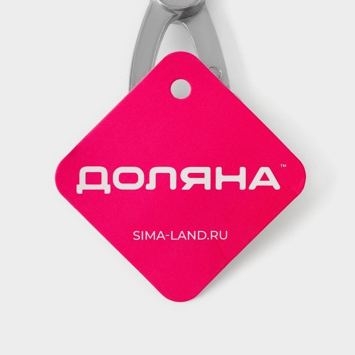 Удалитель косточек Доляна &laquo;Любитель&raquo;, 18 см