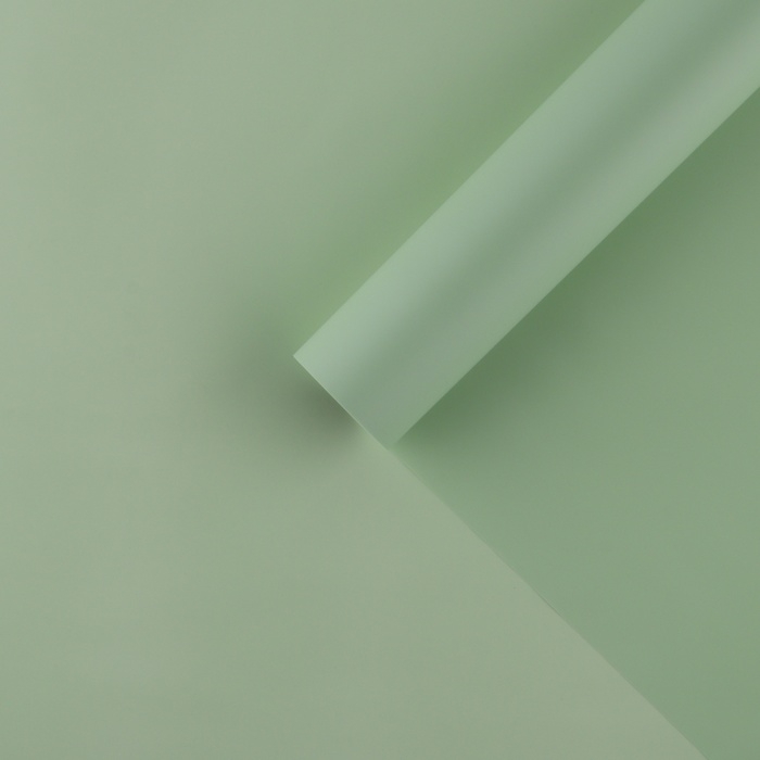 Плёнка для цветов упаковочная матовая &laquo;Хаки&raquo;, 0.5 х 9 м