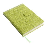 Ежедневник датированный 2025 года, A5, 168 листов, deVENTE. Barbara, твердая обложка кожзам с поролоном, перфорацией, ляссе, блок 70, зеленый