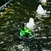 Садовая фигура 14 х 13 х 9,5 см "Лягушка на шине" Водоплавающая