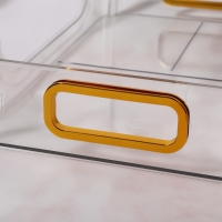 Органайзер для хранения, с ручками, 2 секции, 31 &times; 20 &times; 29 см, цвет прозрачный/золотой