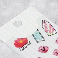 Наклейки бумажные на подложке &laquo;Тетрадь&raquo;, для ежедневника 6&times;21 см