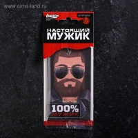 Ароматизатор в машину Luazon &laquo;Настоящий мужик&raquo;, аромат антитабак