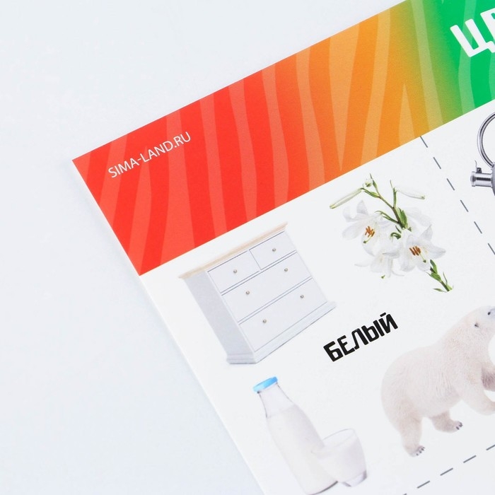 Набор обучающих плакатов &laquo;Изучаем мир&raquo;, 10 в 1, А4