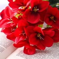 Букет "Нарцисс махровый" 32 см, микс