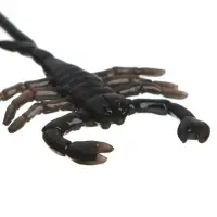 Липучка &laquo;Гады&raquo;, виды МИКС