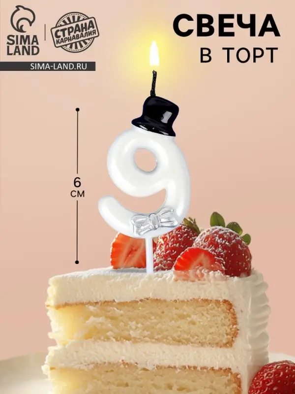 Свеча для торта &laquo;Джентельмен&raquo;, цифра 9, белая