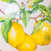 Салатник "Лимоны" дерево манго 23х23х10,5 см