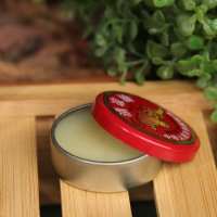 Бальзам &laquo;Китайская звёздочка&raquo;, 10 г