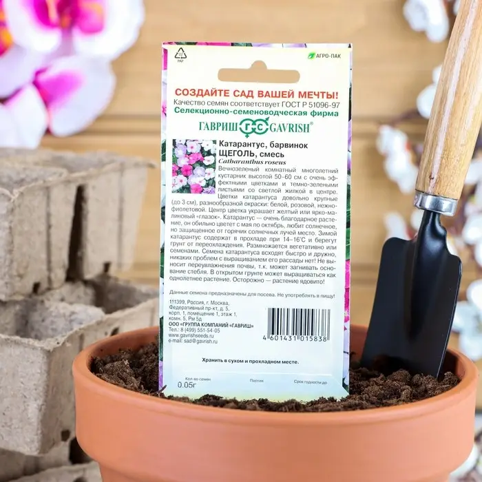 Семена комнатных цветов Барвинок "Щеголь", ц/п,  0,05 г