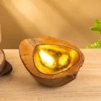 Чаша из кокоса, 15.5&times;21&times;7 см, коричнево-золотая