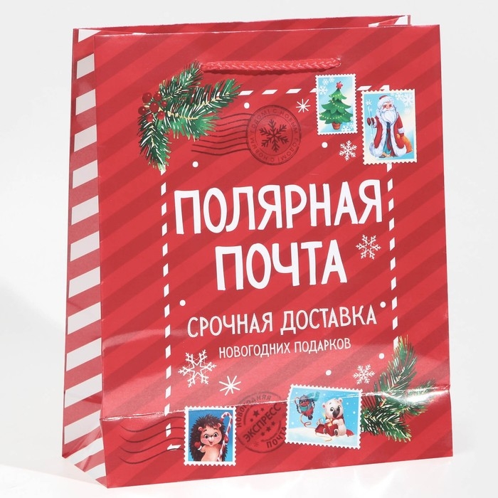 Пакет подарочный новогодний ламинированный &laquo;Полярная почта&raquo;, ML 21 х 25 х 8 см