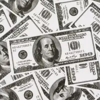 Бумага упаковочная глянцевая &laquo;Богатство&raquo;, 50 &times; 70 см