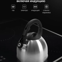 Чайник для плиты со свистком 2,2 л. для индукции