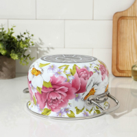 Кастрюля эмалированная &laquo;Пион&raquo;, 3.1 л, индукция